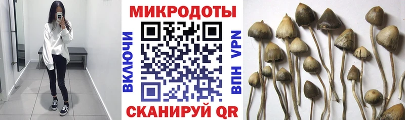 Псилоцибиновые грибы ЛСД Махачкала